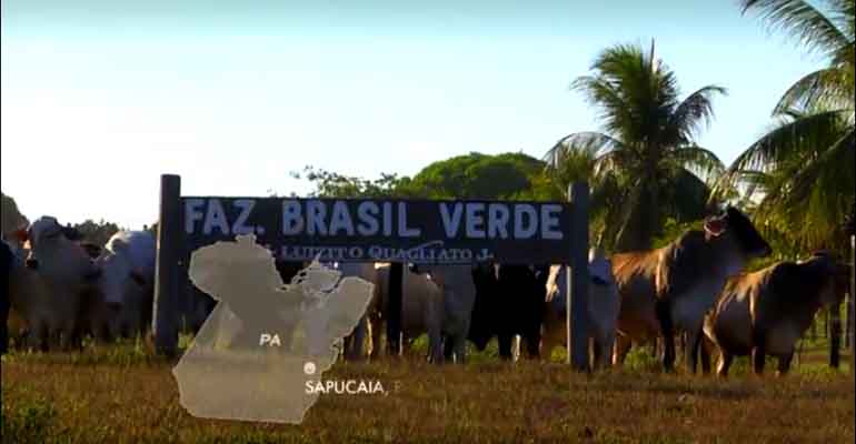 Fazenda Brasil