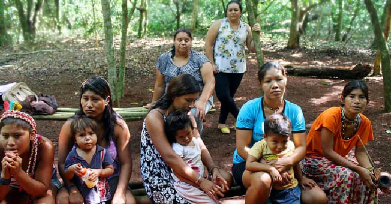 PGR pede ao STF suspensão de reintegração de posse de territórios ocupados por famílias indígenas na região Sul